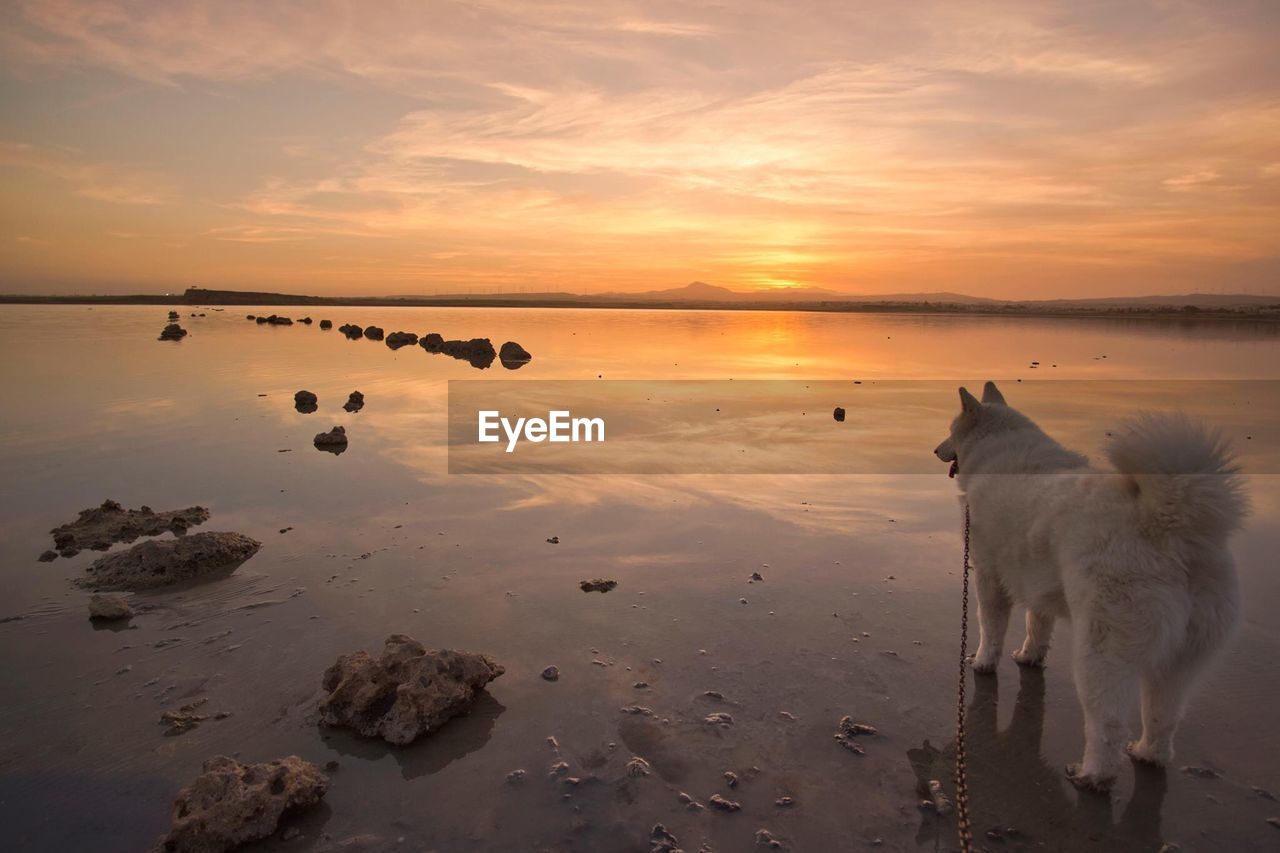 SCENIC VIEW OF BEACH AGAINST SKY DURING SUNSET