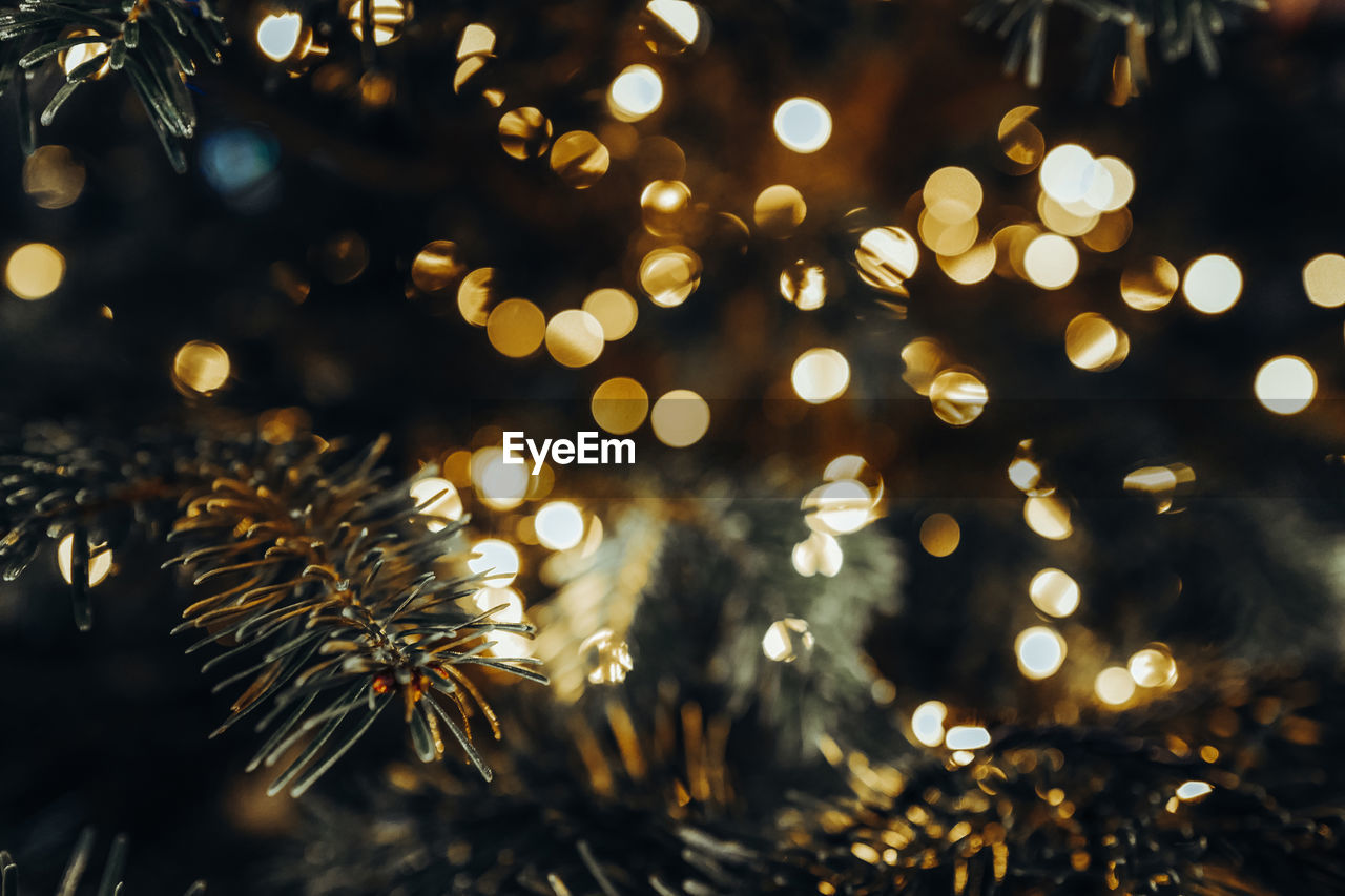 Coniferous branches and blurry shiny golden lights in christmas and new year atmosphere.