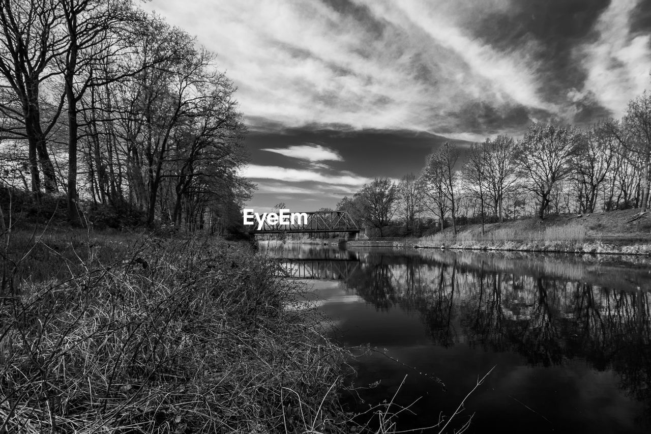 BARE TREES BY LAKE AGAINST SKY