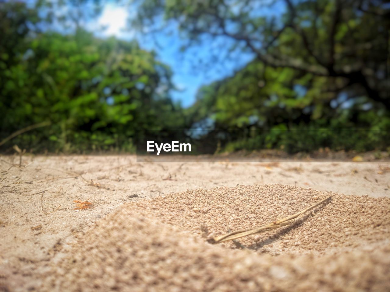 SURFACE LEVEL OF SAND ON LAND