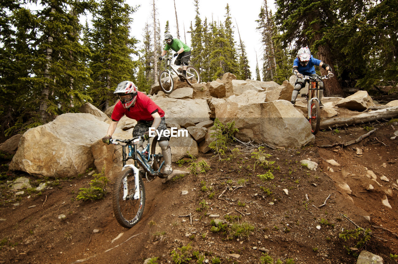 Athletes cycling on rocks in forest