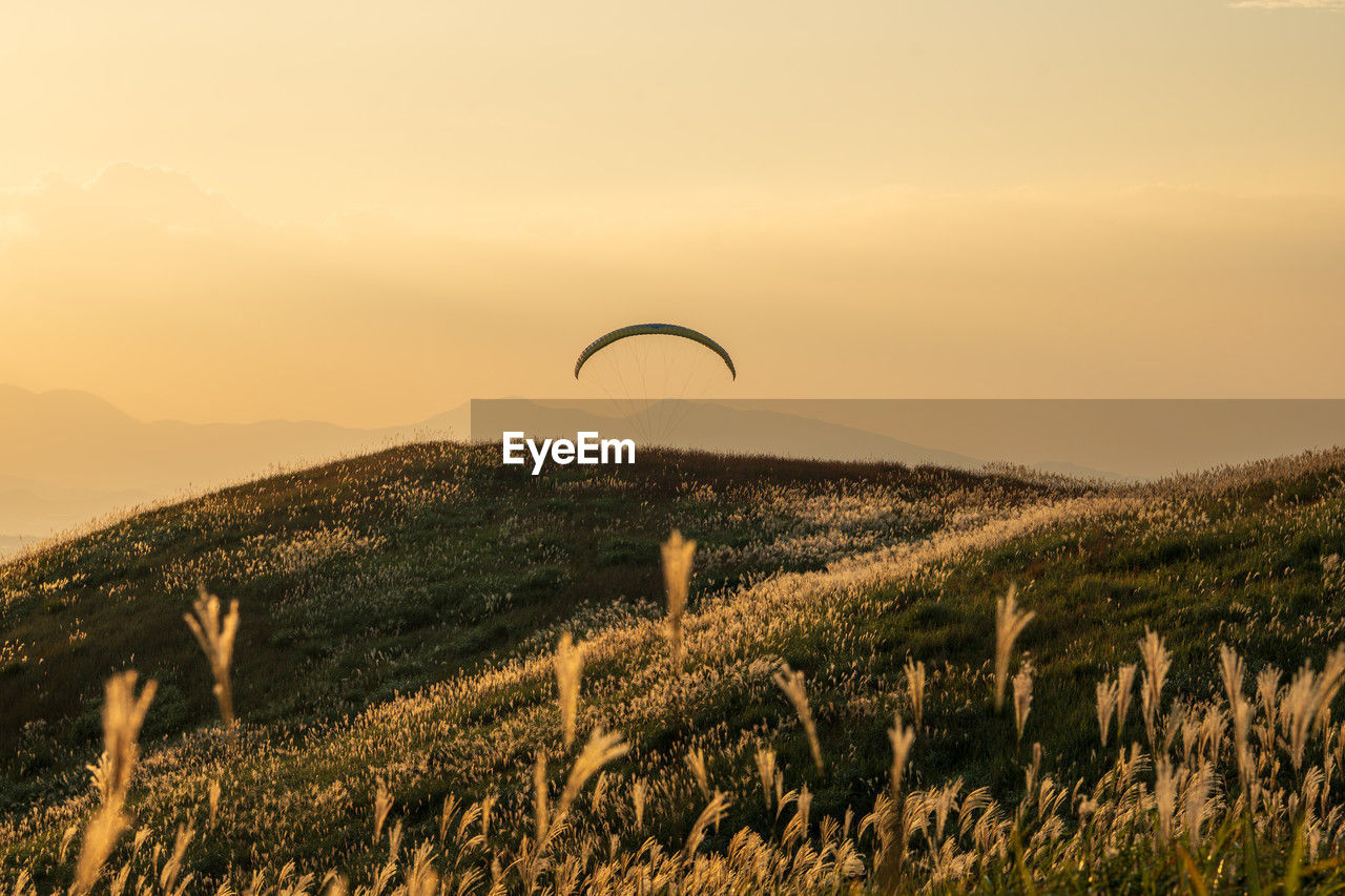 Scenic view of field against sky during sunset
