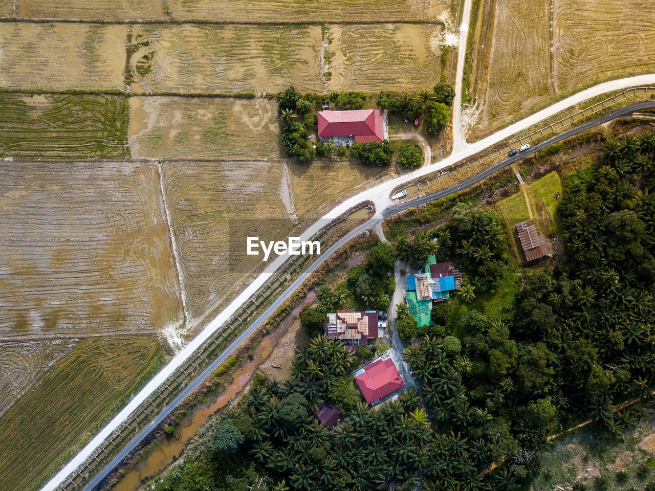 Aerial view of houses and trees in town