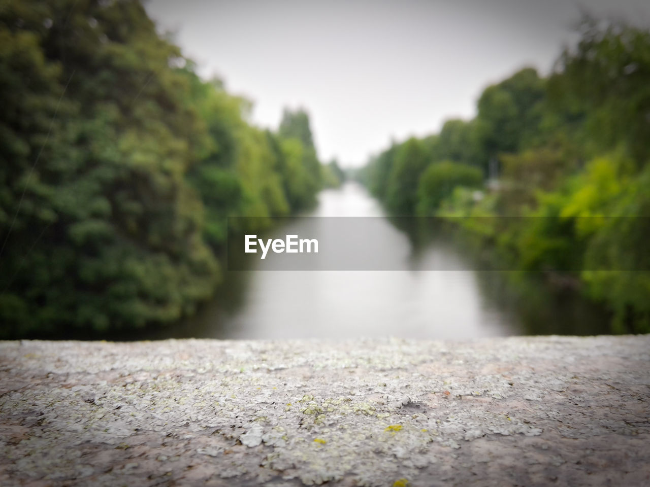 RIVER FLOWING THROUGH TREES AGAINST SKY