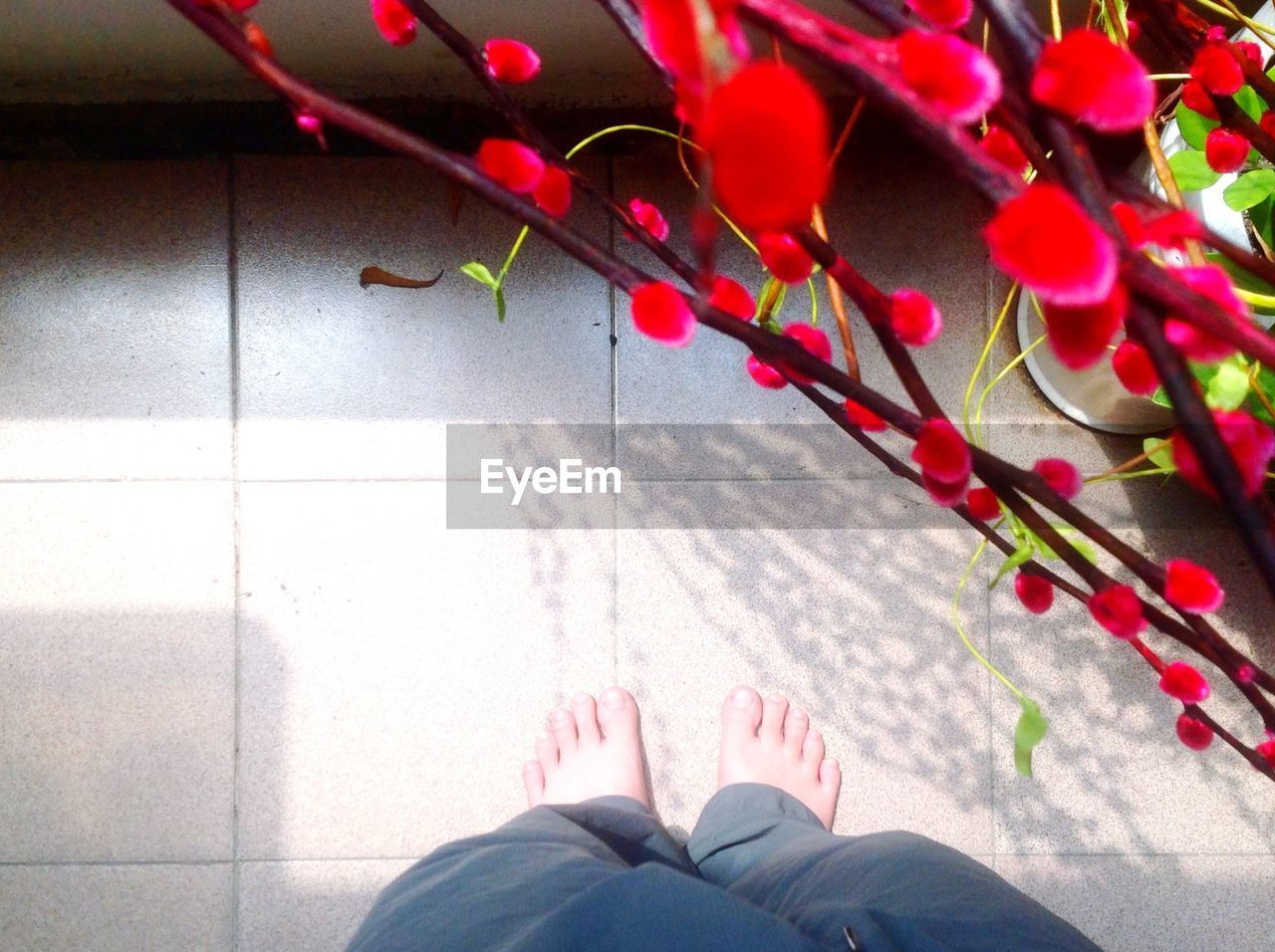 Low section of child standing on tiled floor