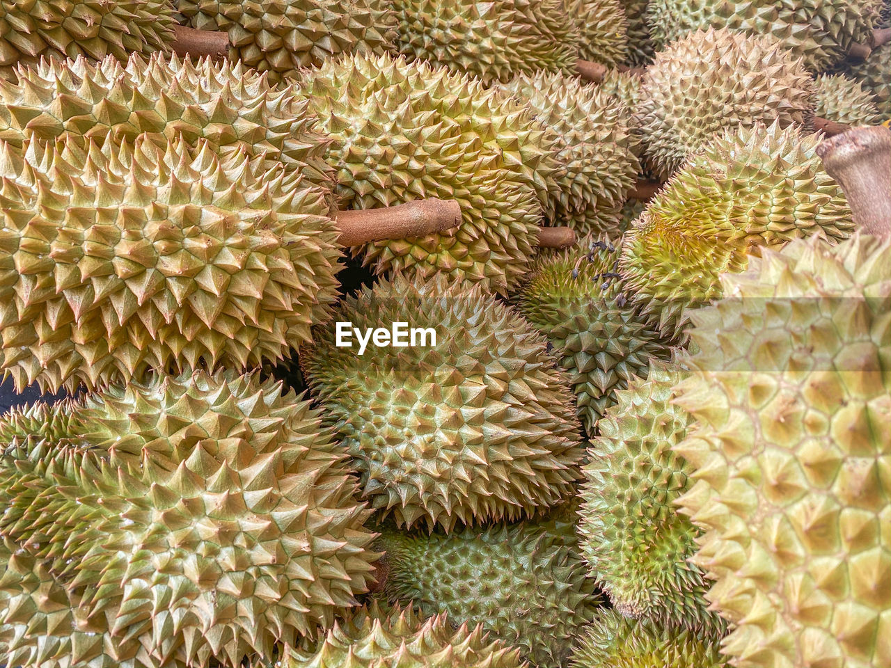 Full frame shot of fruits in market