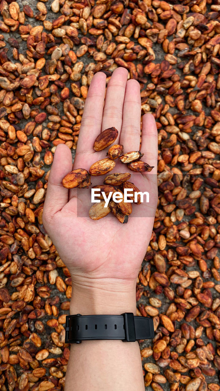 High angle view of hand holding pebbles