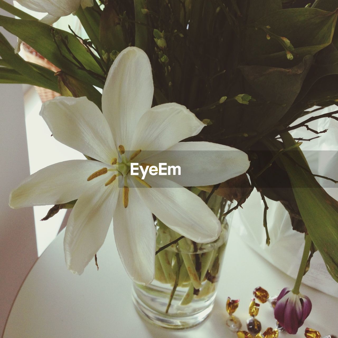 White flower in vase