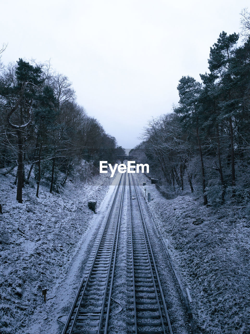 Railroad tracks along trees on snow covered landscape