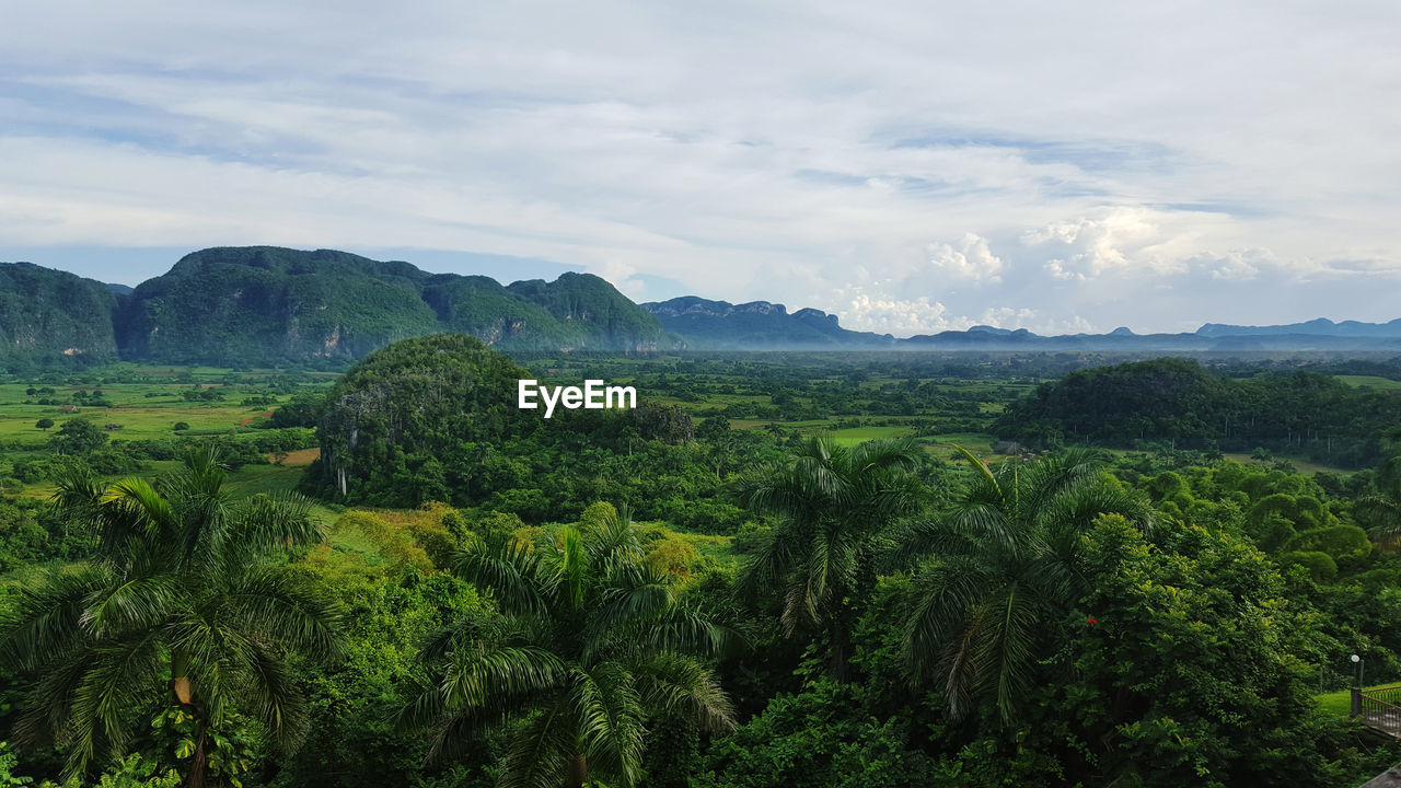 Scenic view of green landscape against sky