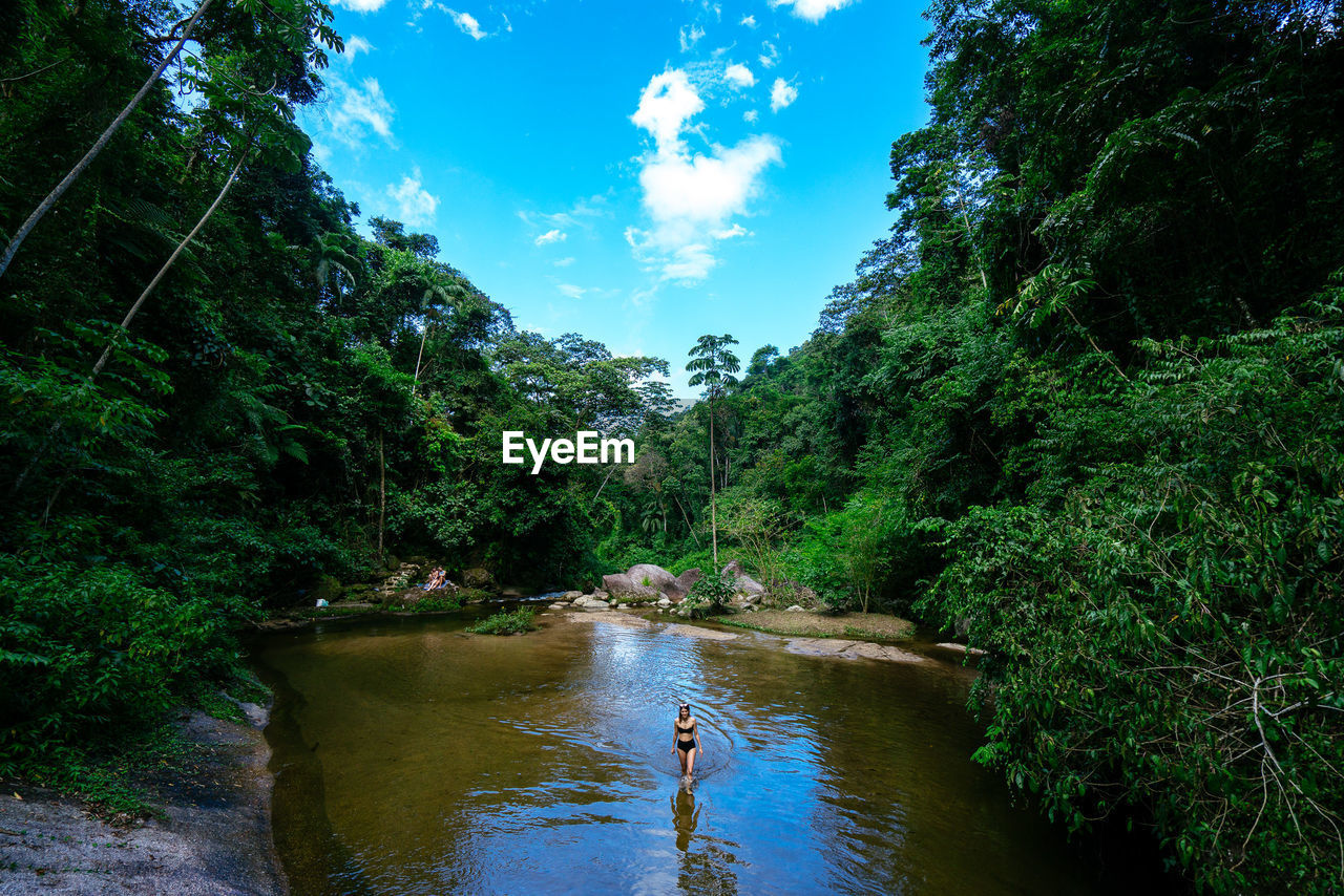 SCENIC VIEW OF RIVER AMIDST TREES IN FOREST AGAINST SKY