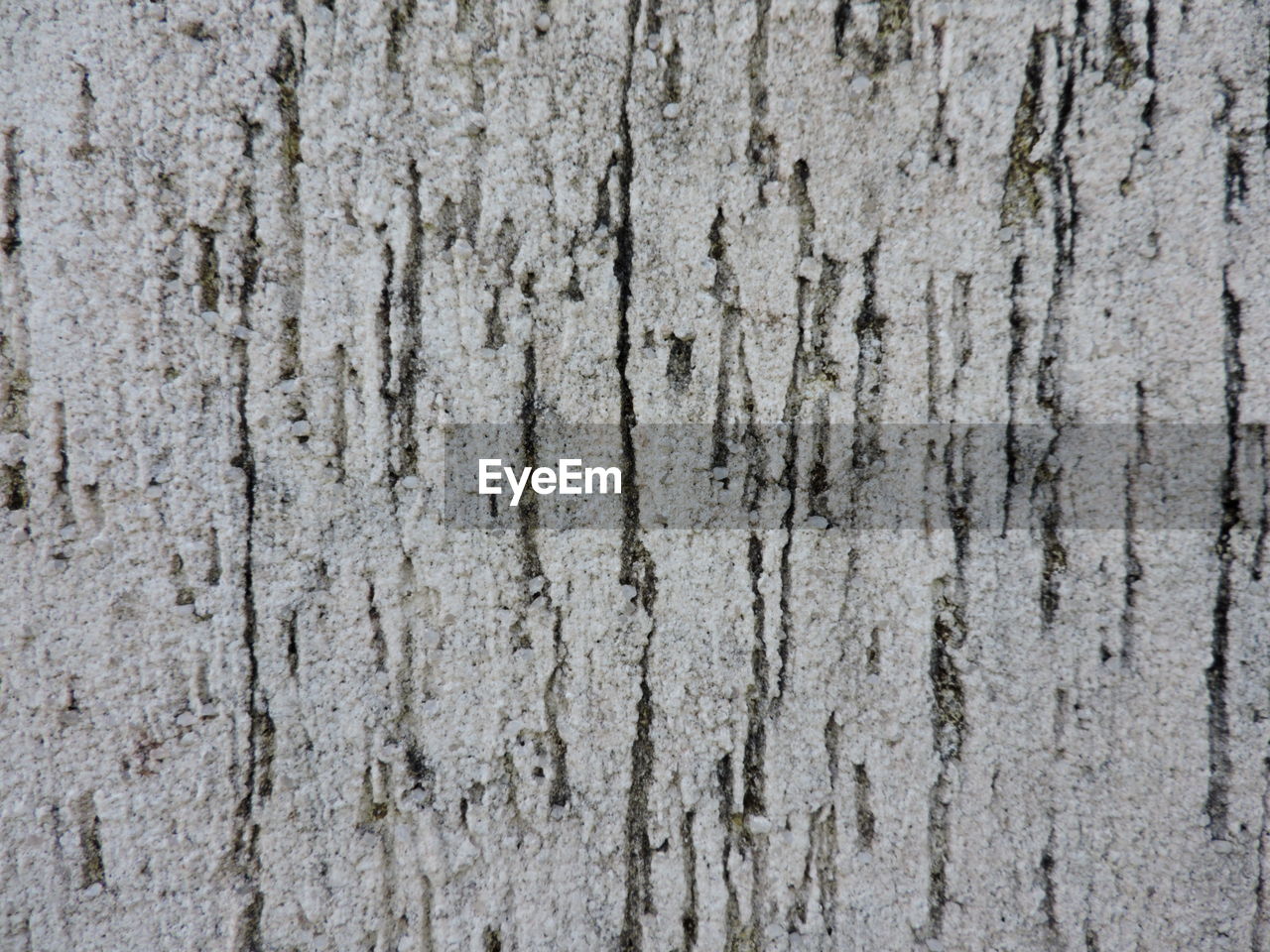 CLOSE-UP OF WEATHERED WOOD