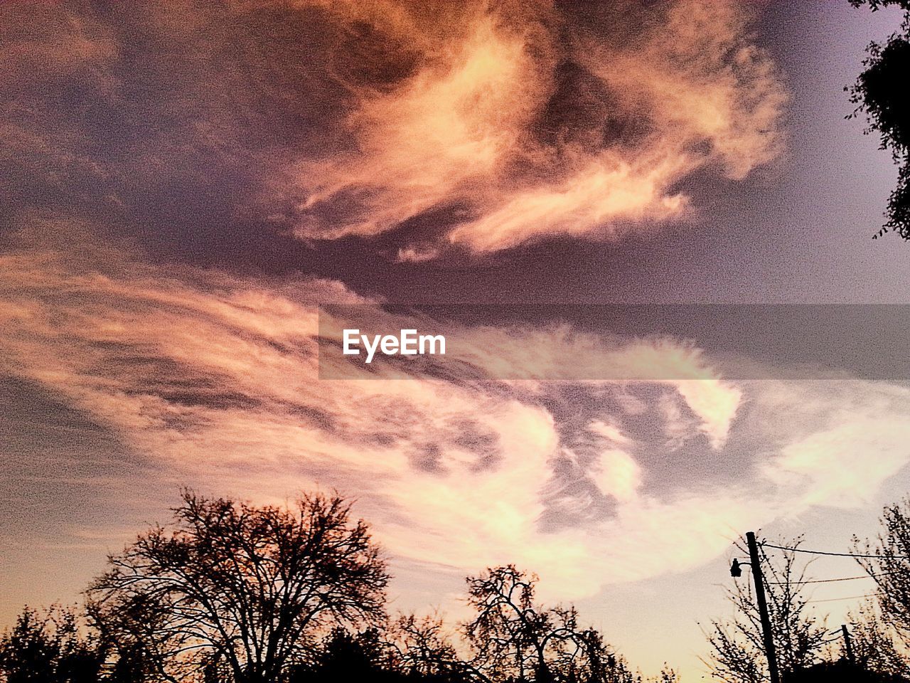 SILHOUETTE OF TREES AGAINST CLOUDY SKY