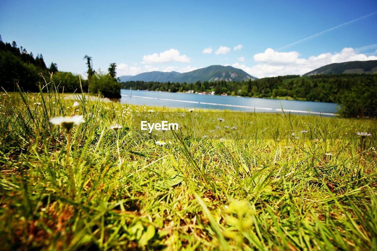 SCENIC VIEW OF LAKE AND MOUNTAINS