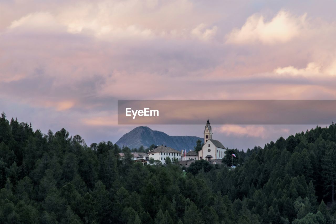 PANORAMIC VIEW OF TREES ON MOUNTAIN AGAINST SKY