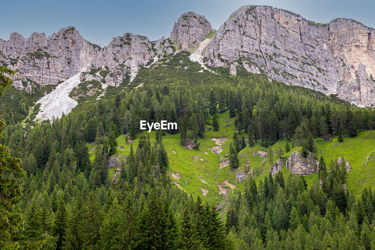 View of the dolomites with the underlying forest