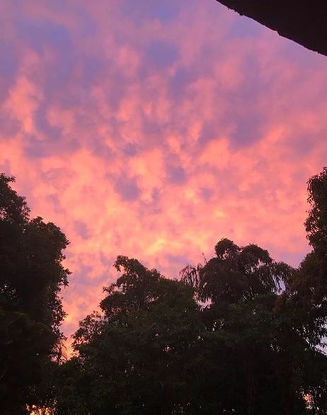 LOW ANGLE VIEW OF DRAMATIC SKY OVER SILHOUETTE TREES