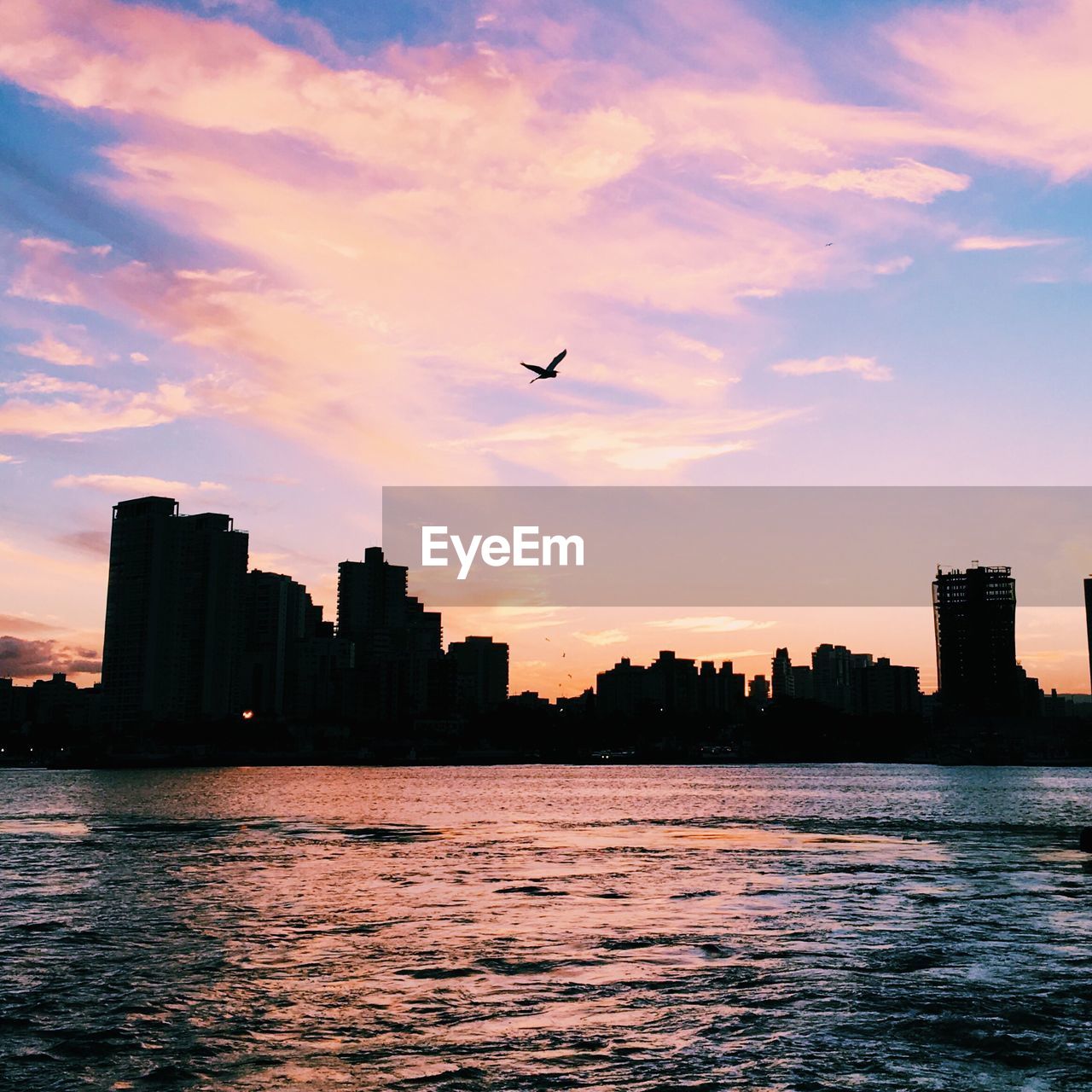 SILHOUETTE OF BUILDINGS AT WATERFRONT