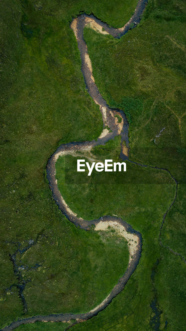 Aerial view of green landscape