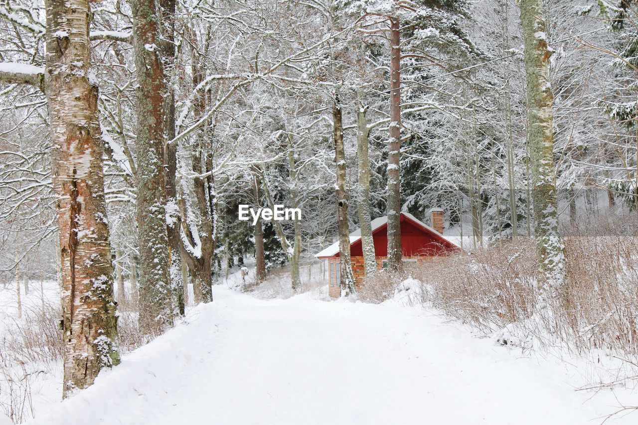 House on snow covered field by trees