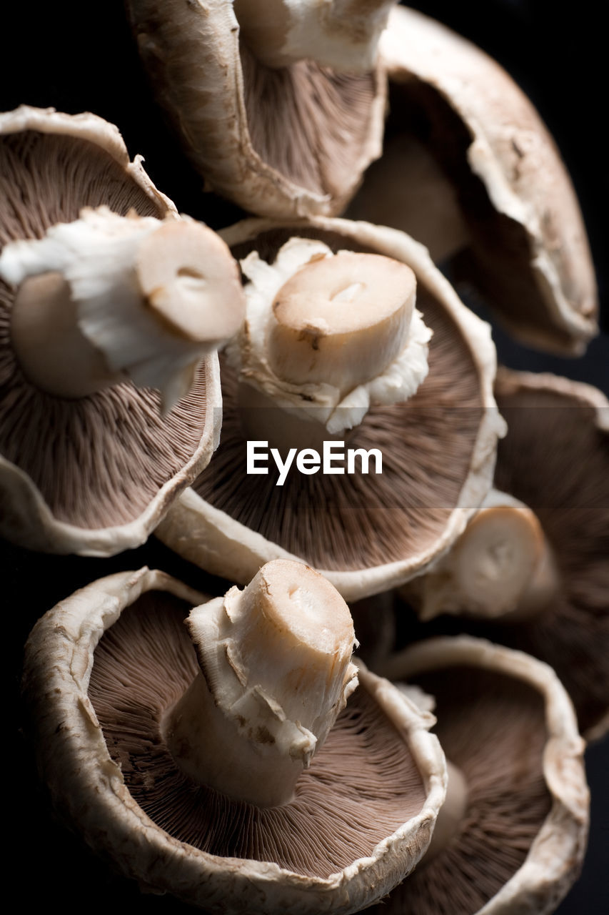 CLOSE-UP OF MUSHROOMS ON PLATE