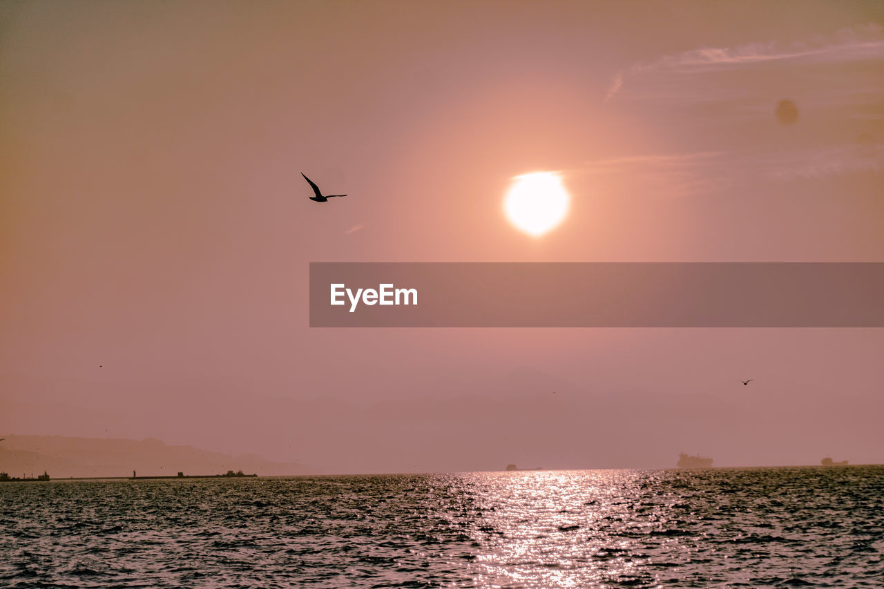 SILHOUETTE BIRDS FLYING OVER SEA DURING SUNSET