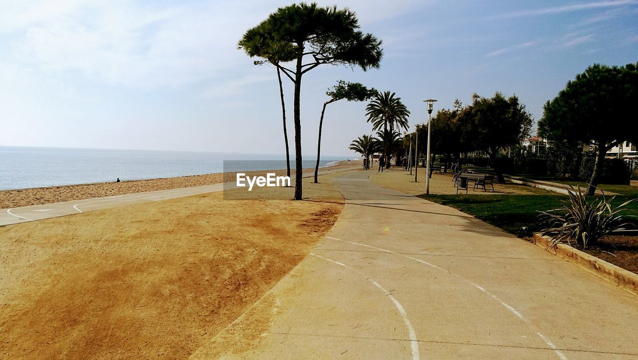 TREES AT BEACH AGAINST SKY