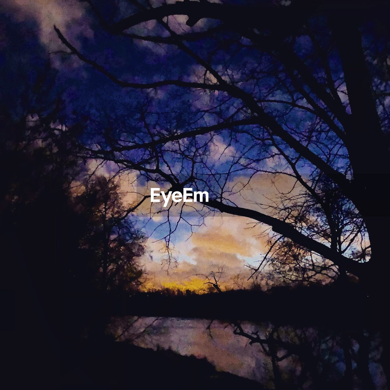 SILHOUETTE TREES BY LAKE AGAINST SKY AT SUNSET