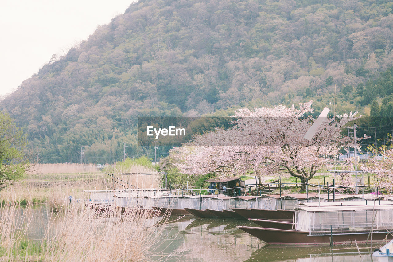 Scenic view of river by tree mountains against sky