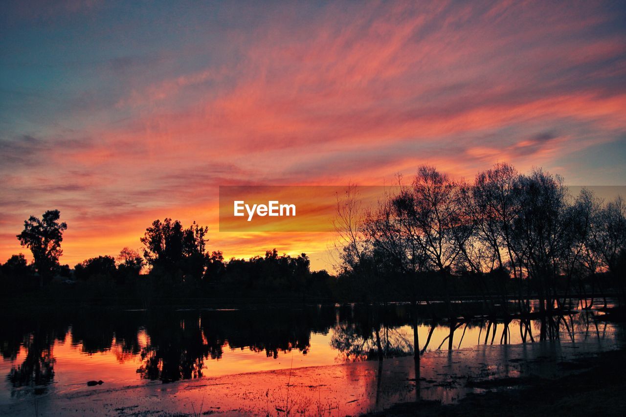 SILHOUETTE TREES BY LAKE AGAINST ROMANTIC SKY