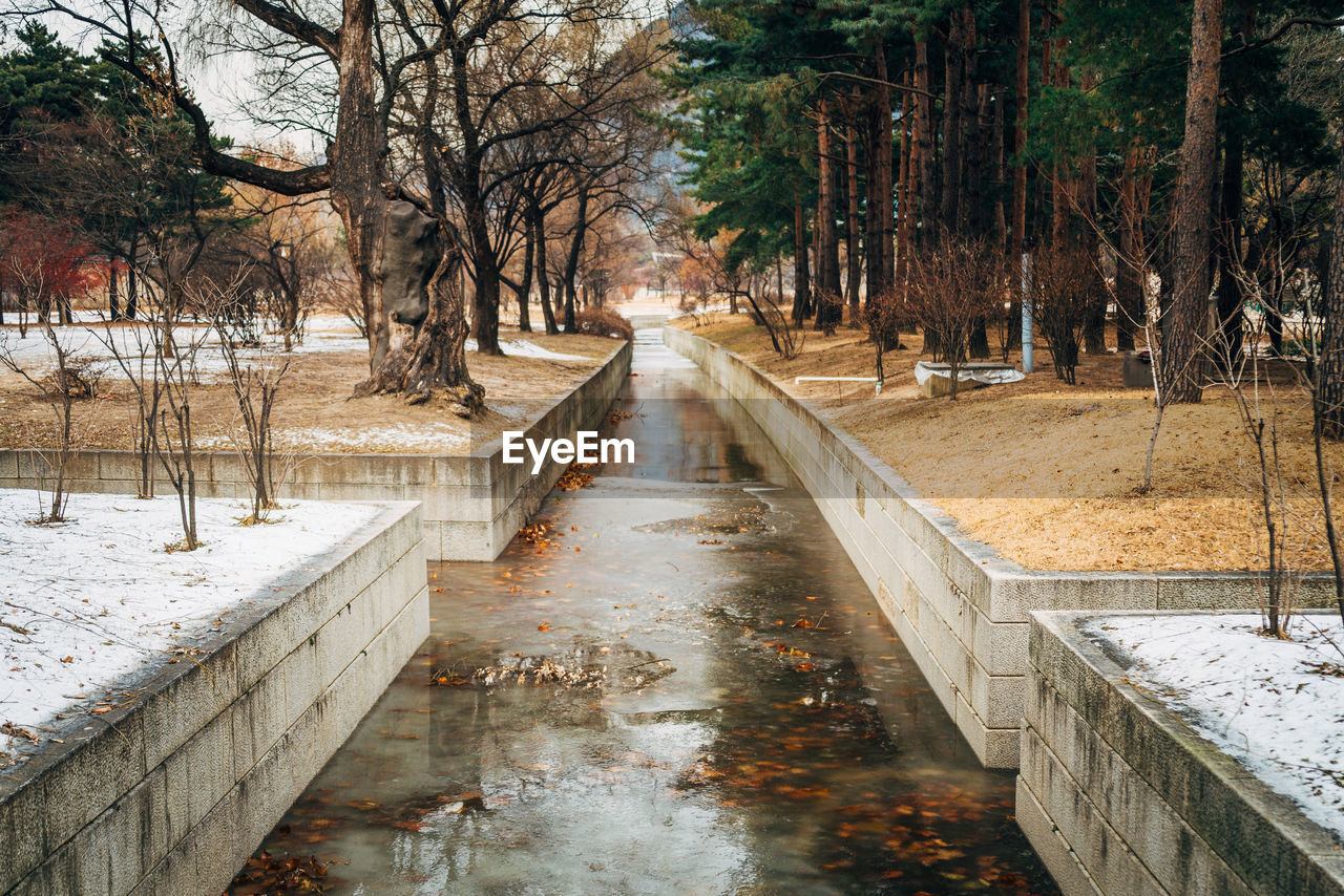 Canal amidst trees in park during winter