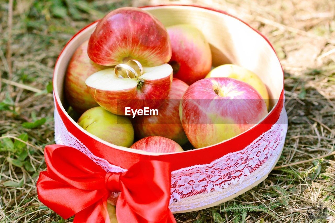 High angle view of apples in bowl on field