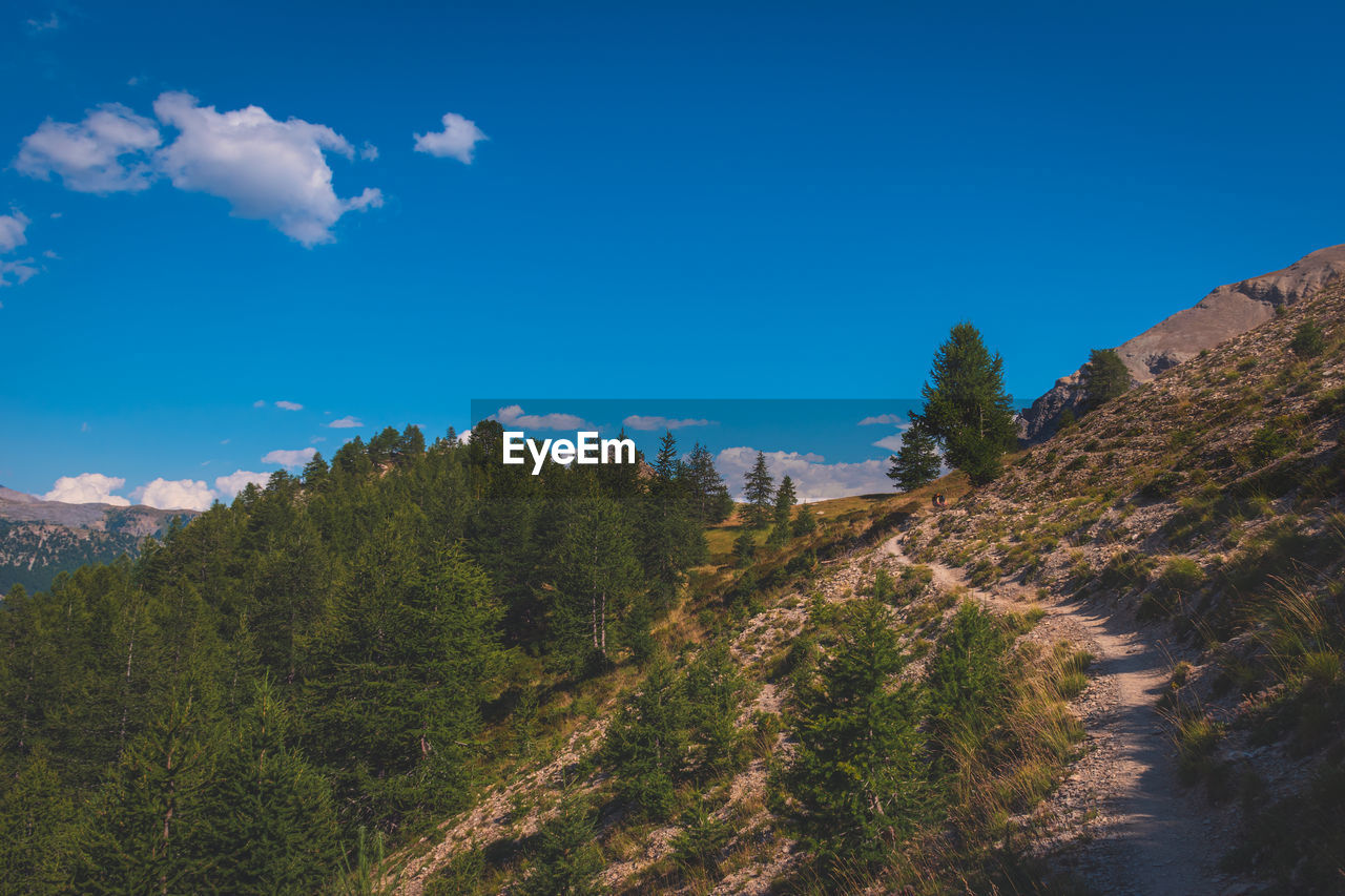 panoramic view of mountain