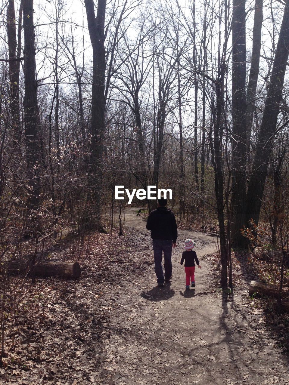 Rear view of father and daughter walking on footpath in forest