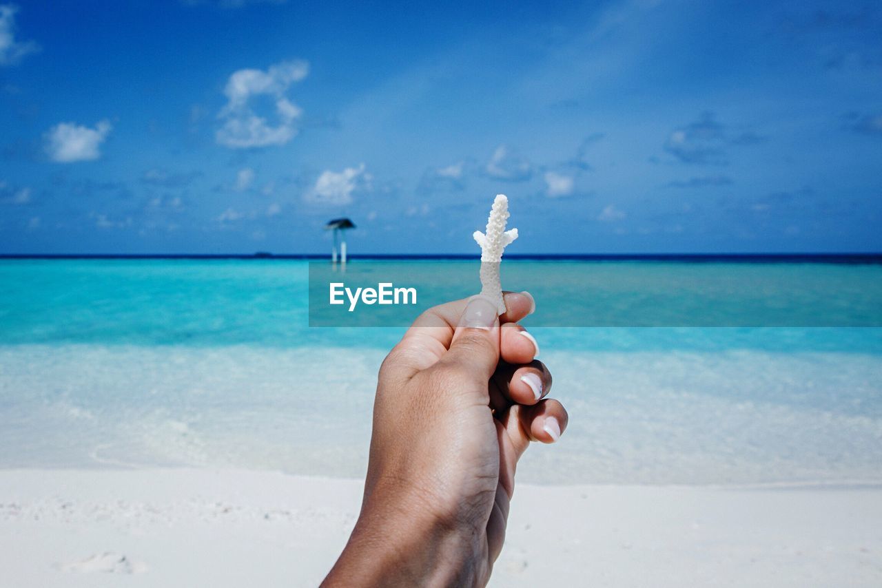 Close-up of woman hand holding coral