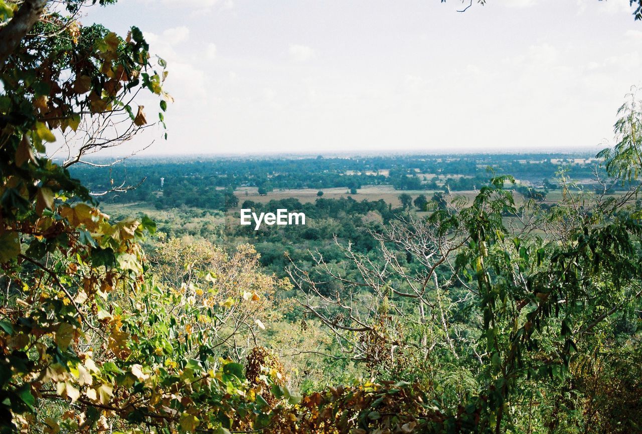 SCENIC VIEW OF LAND AGAINST SKY