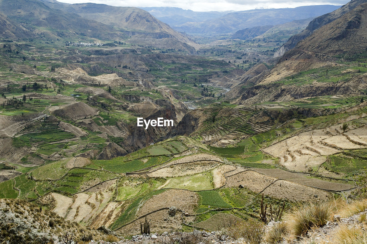 HIGH ANGLE VIEW OF VINEYARD AGAINST MOUNTAIN