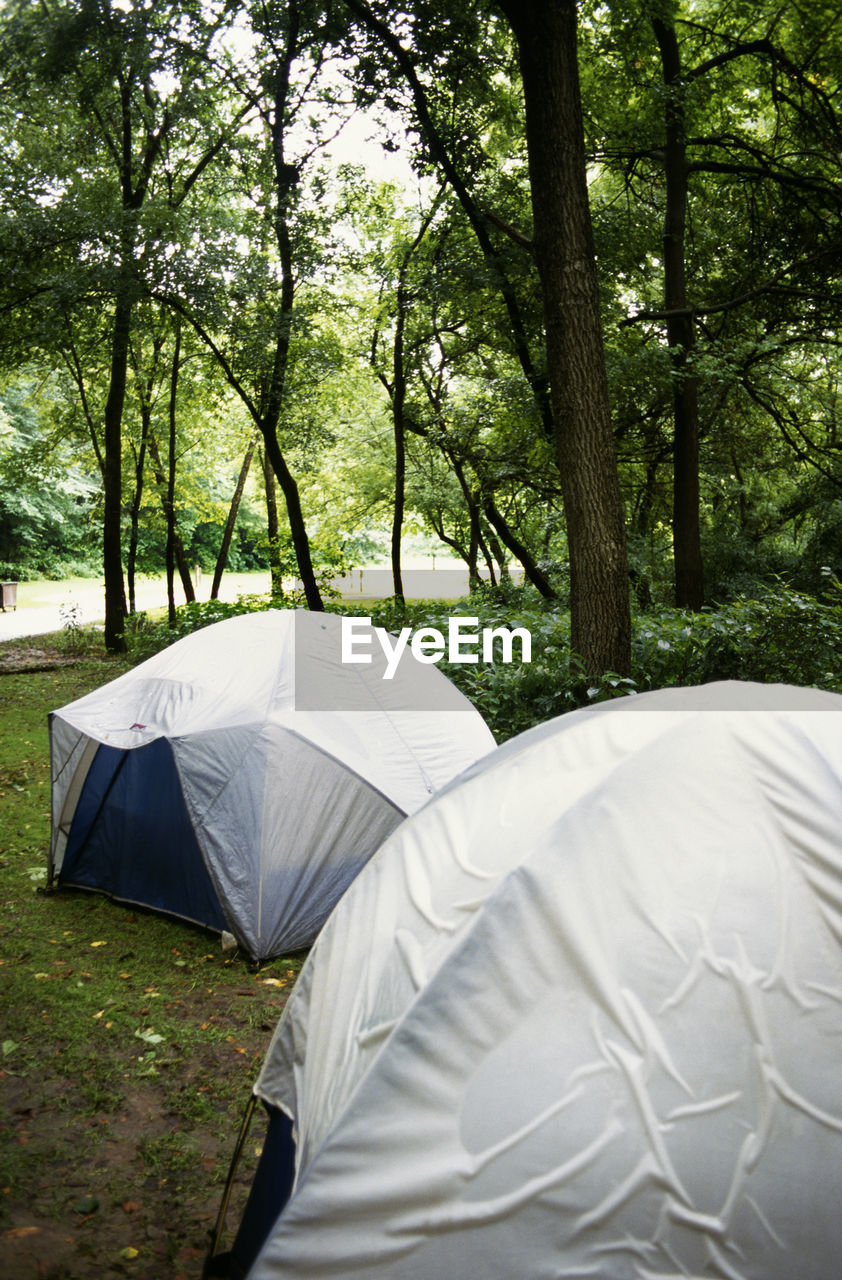 TENT ON FIELD BY TREES