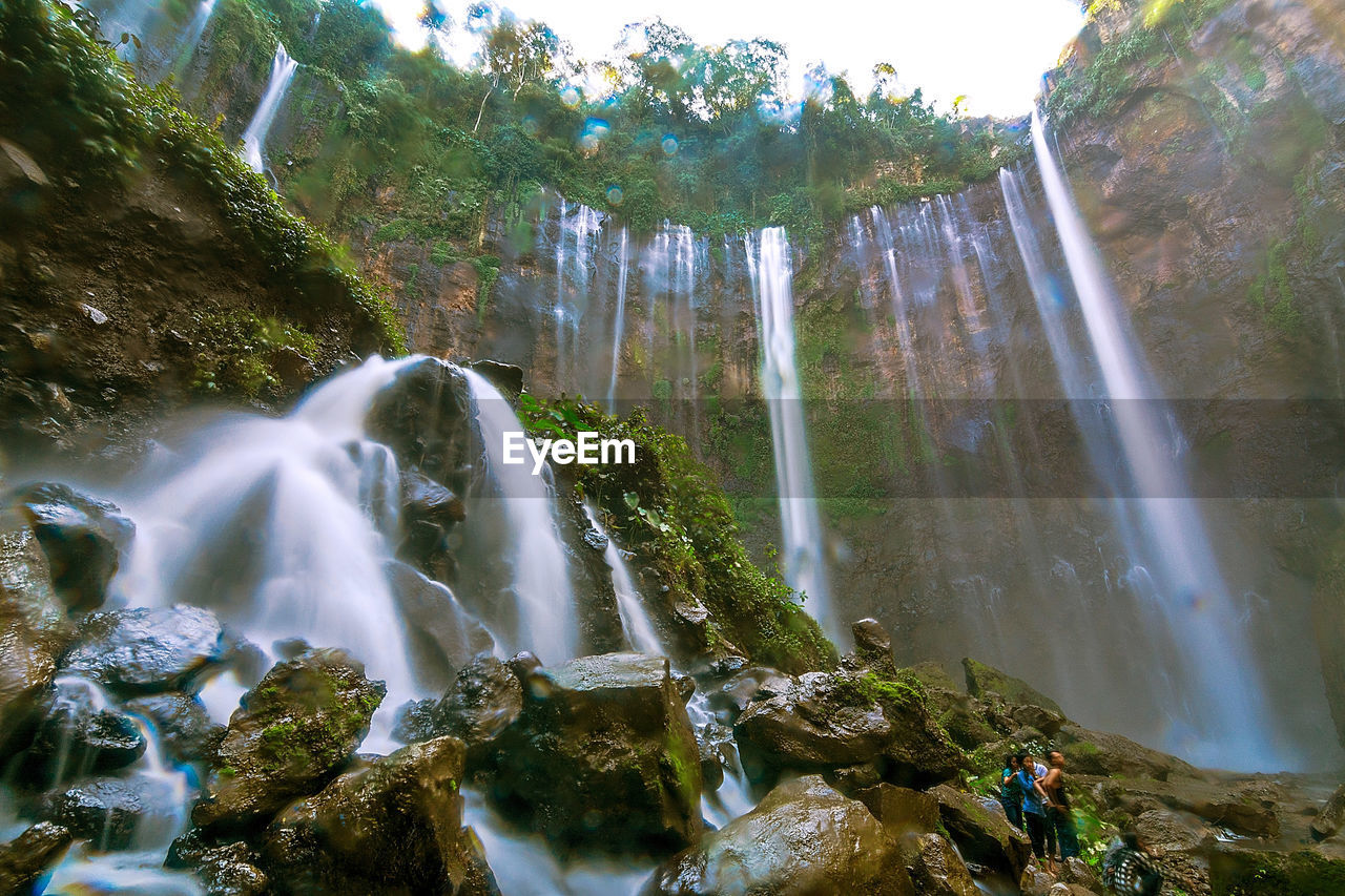 Low angle view of tumpak sewu in forest