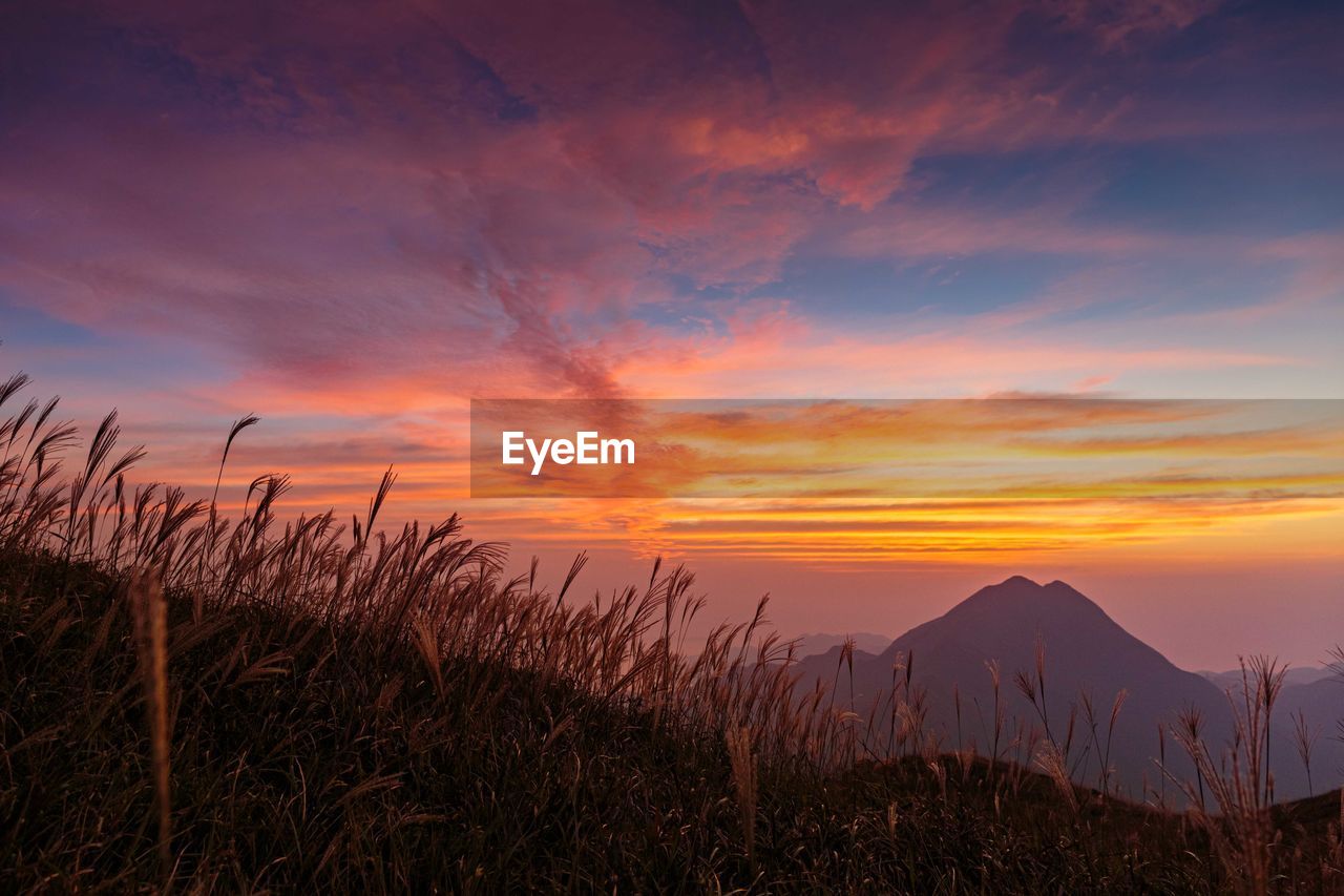 Scenic view of field against sky during sunset