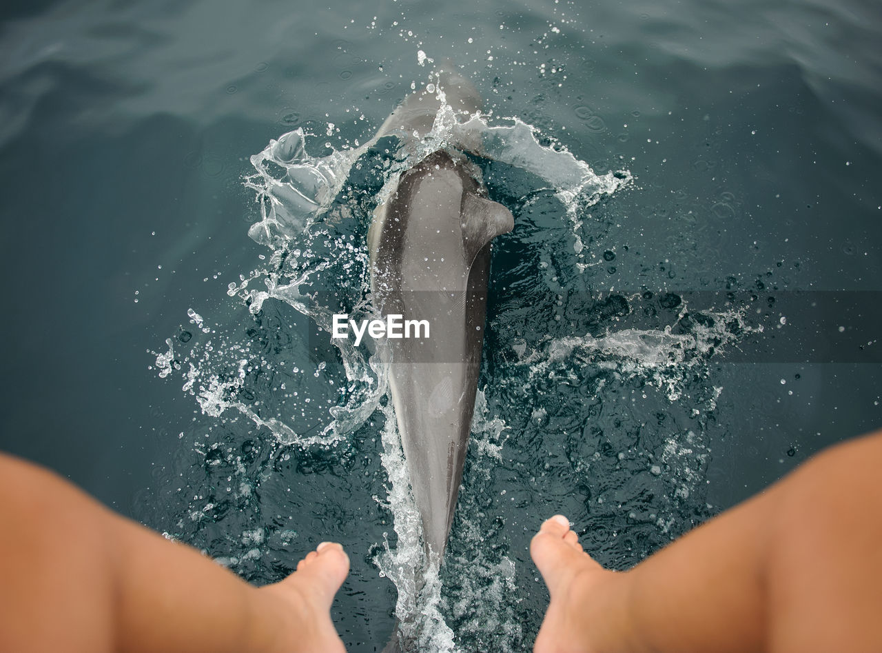 Low section of woman over fish in sea