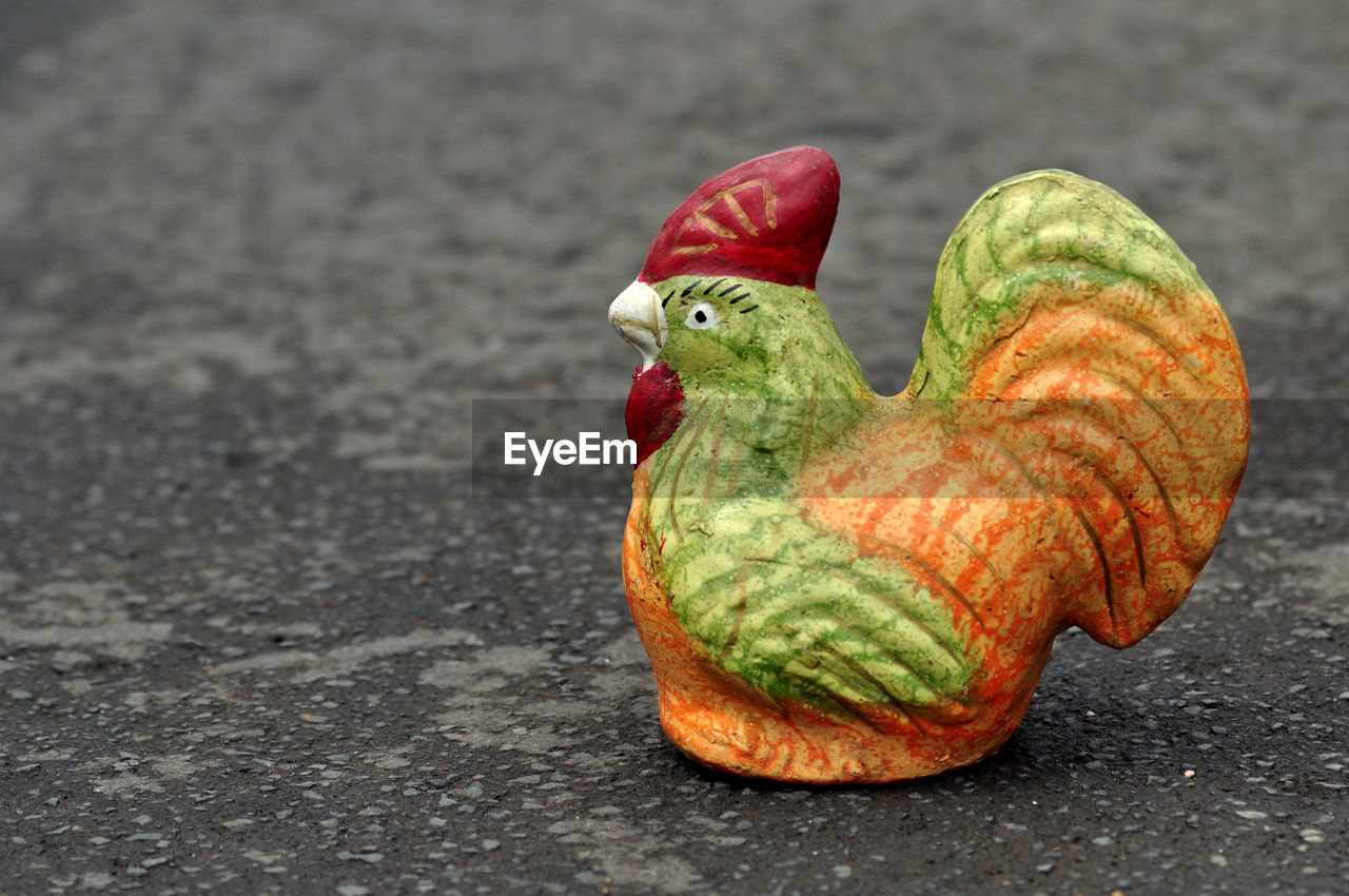 Colorful chicken piggy bank on asphalt