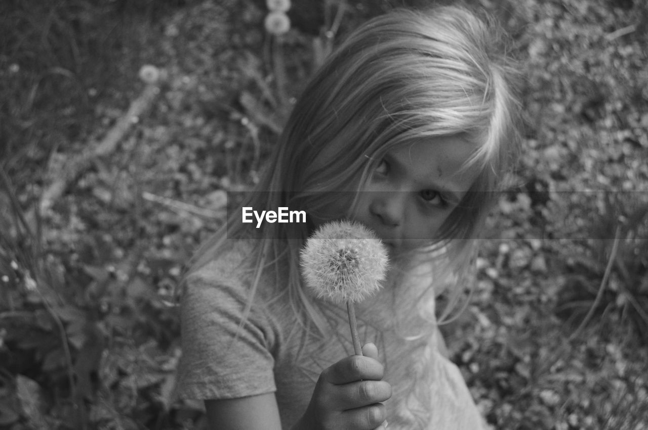 Portrait of girl holding dandelion on field