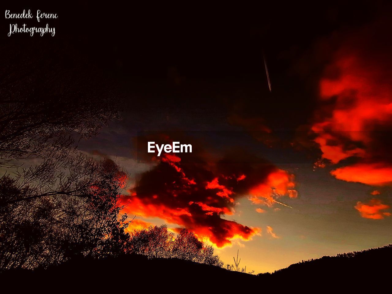 LOW ANGLE VIEW OF SILHOUETTE TREE AGAINST SKY AT SUNSET