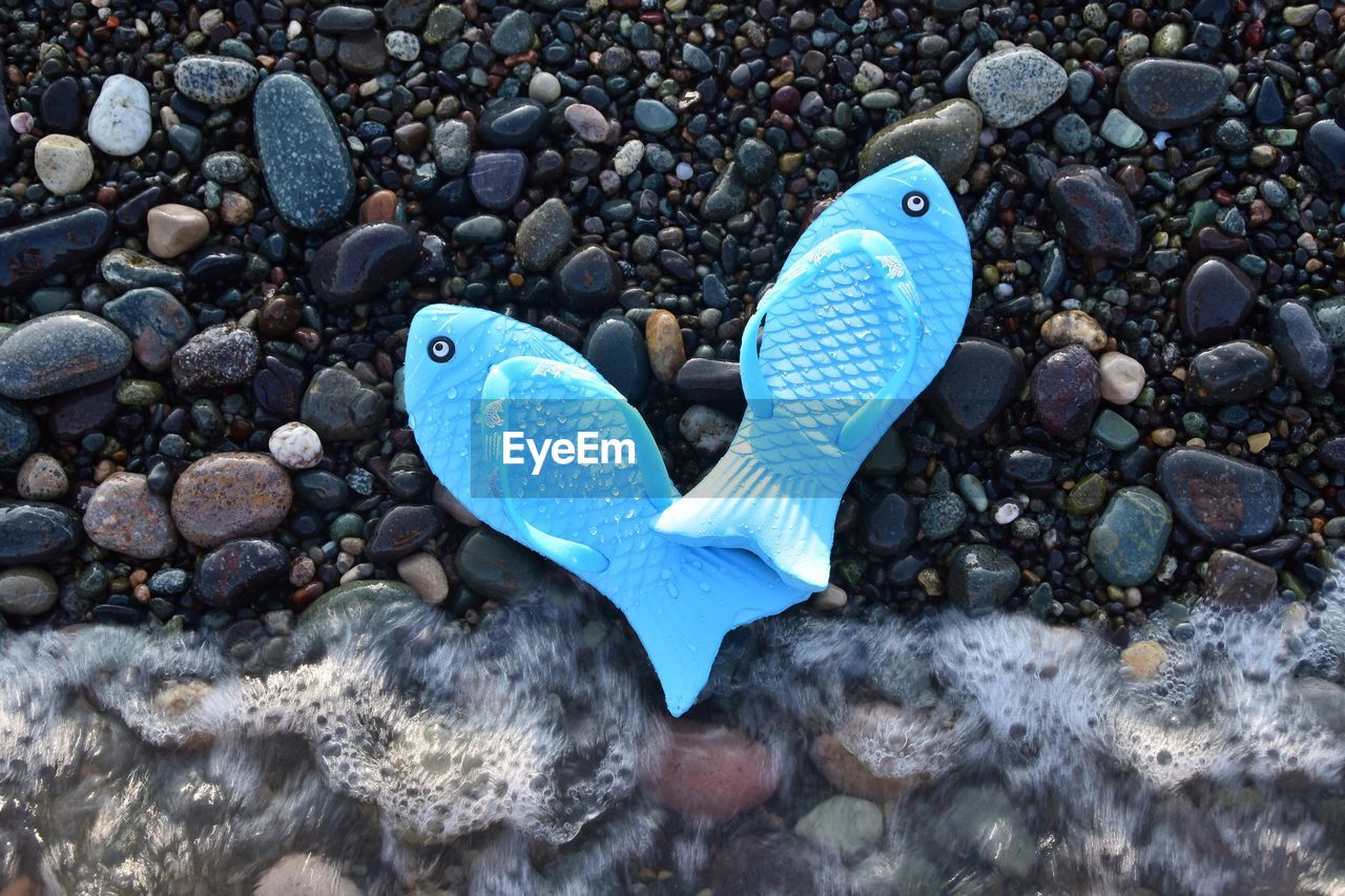 Blue flip-flops on shore at beach