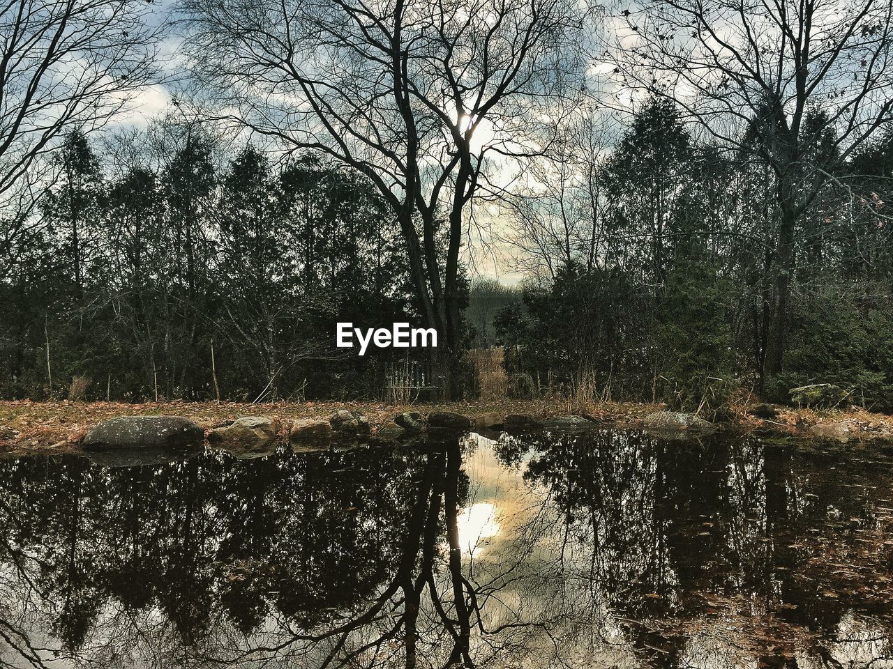 Reflection of bare trees on pond against cloudy sky