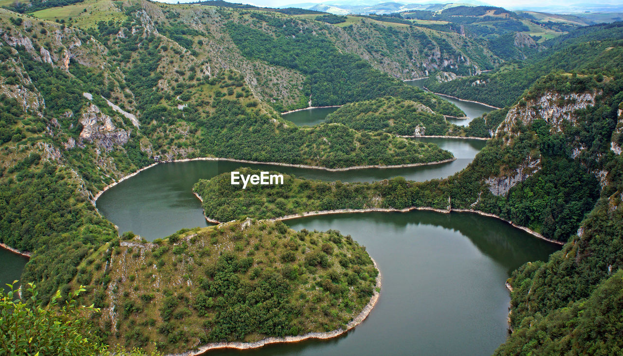 High angle view of river amidst trees in forest