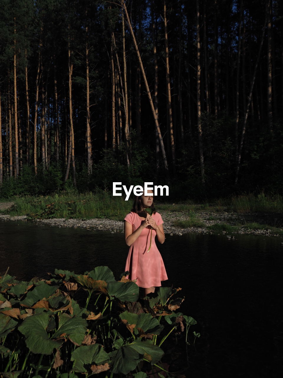 Rear view of woman standing in forest