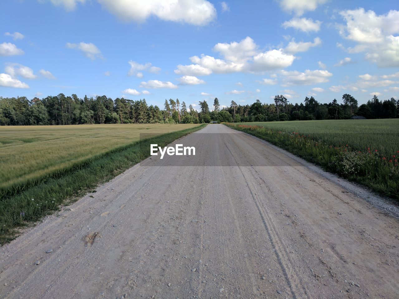 Road amidst agricultural field against sky