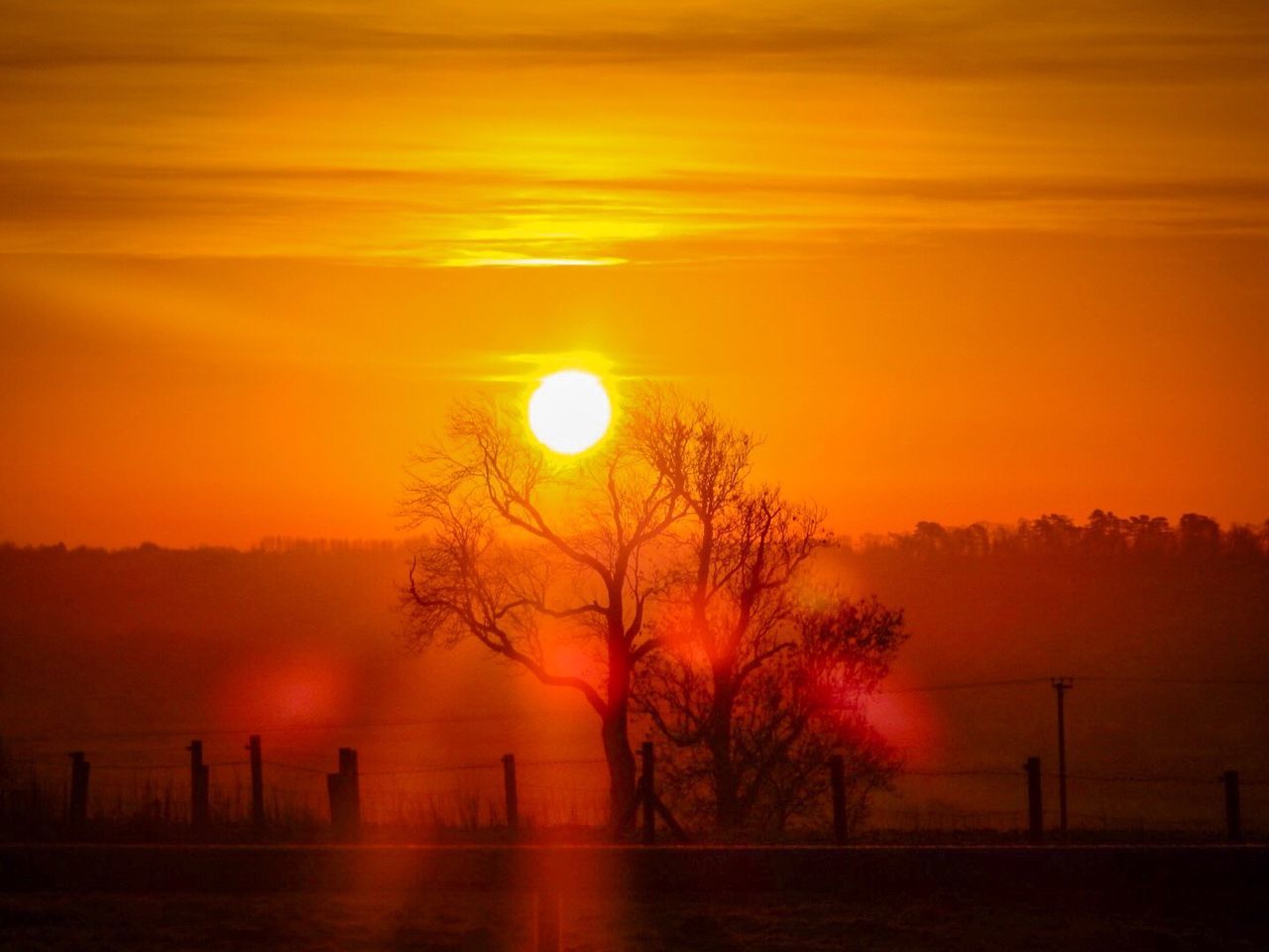 Silhouette trees on landscape against orange sky